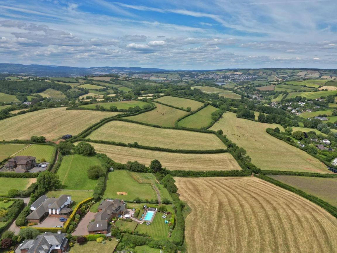 Halekulani Devon Homestay Torquay Eksteriør billede